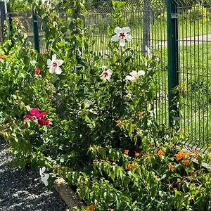 Hibiscus De Charme Avec Piscine Privee Hébergement de vacances